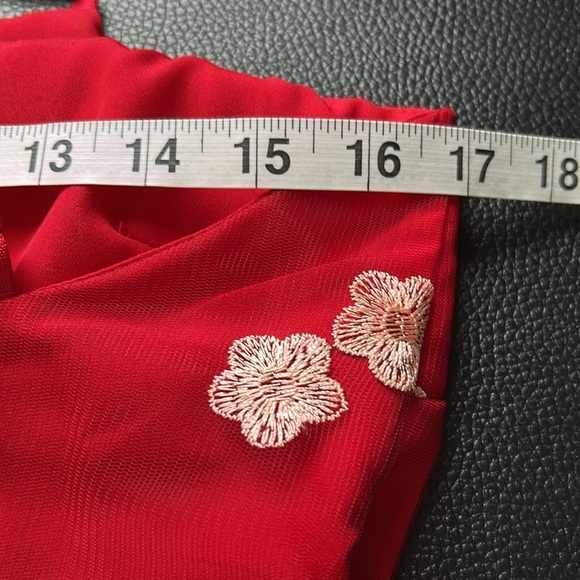 Free People x Backstage Australia Red Floral Dress Embroidered Lace Lined Sz M - Picture 12 of 15